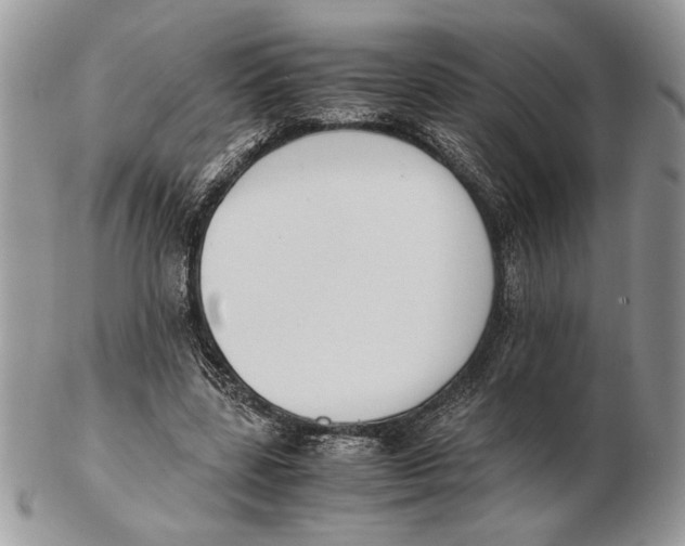 X0000102390539200808221827