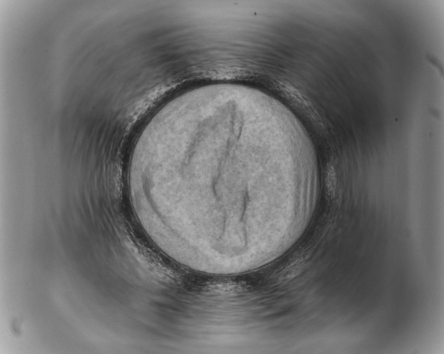 X0000102390540200808221827