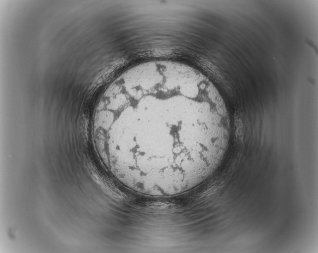 X0000102390542200808221827