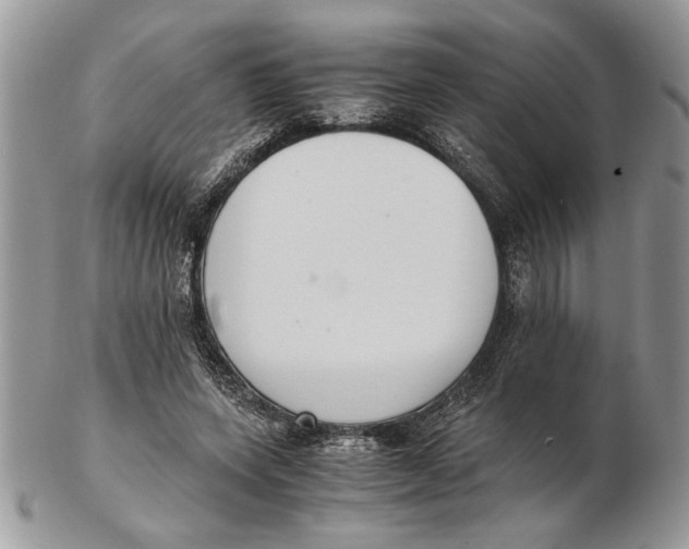 X0000102390543200808221827