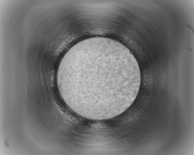 X0000102390544200808221827