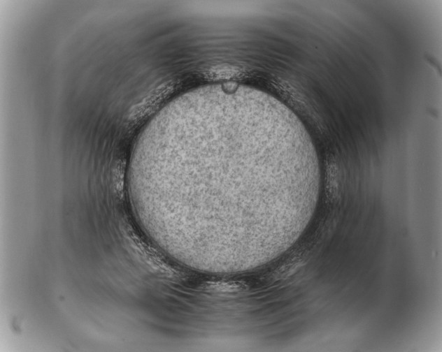 X0000102390545200808221827