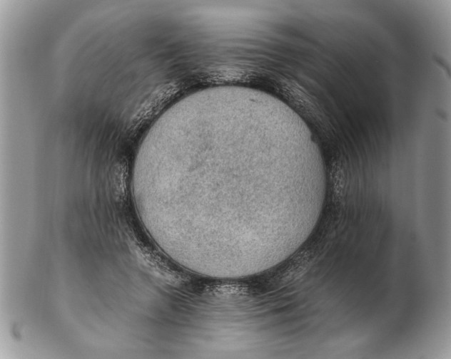 X0000102390546200808221827