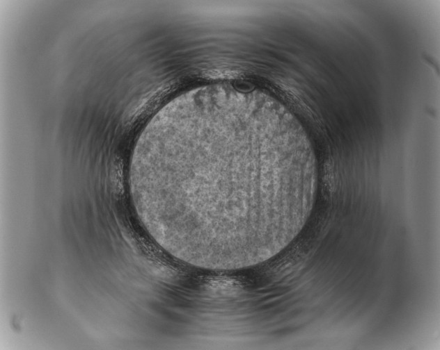 X0000102390547200808221827