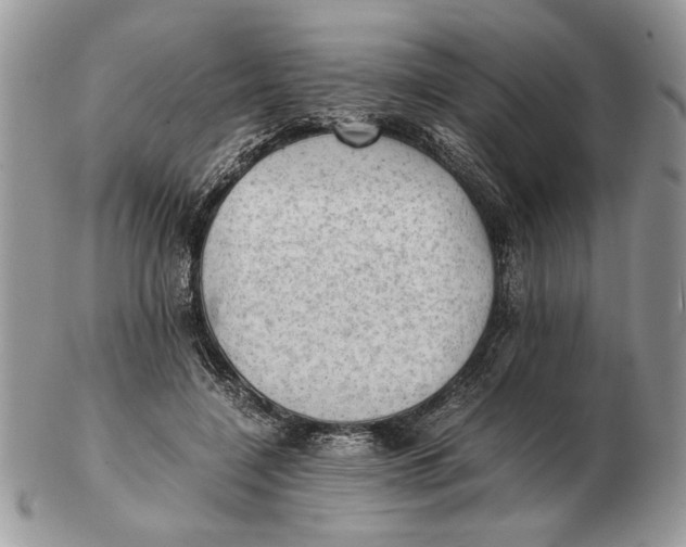 X0000102390548200808221827