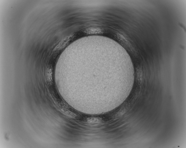 X0000102390549200808221827