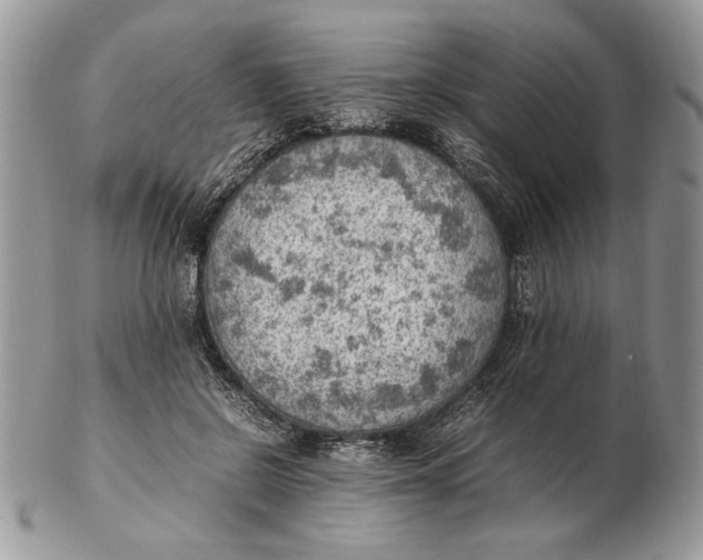 X0000102390550200808221827