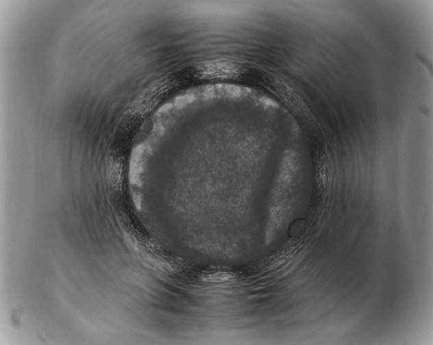 X0000102390551200808221827