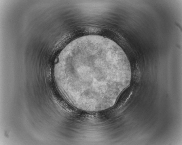 X0000102390552200808221827