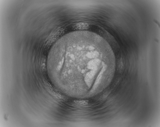 X0000102390553200808221827