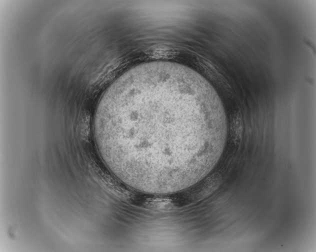 X0000102390554200808221827