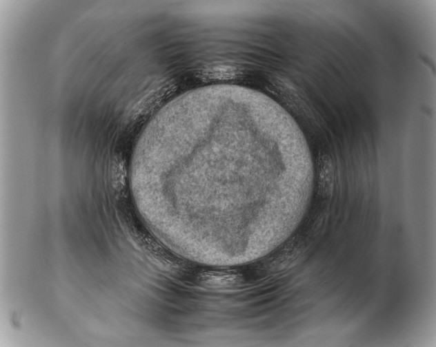 X0000102390555200808221827