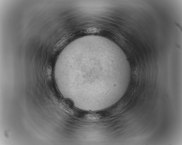 X0000102390556200808221827