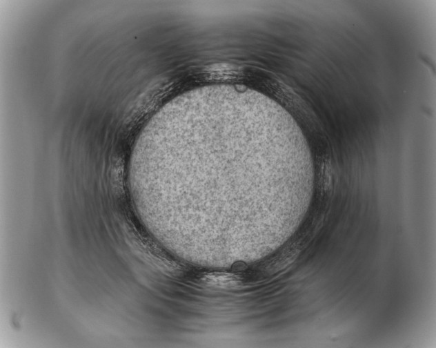 X0000102390557200808221827