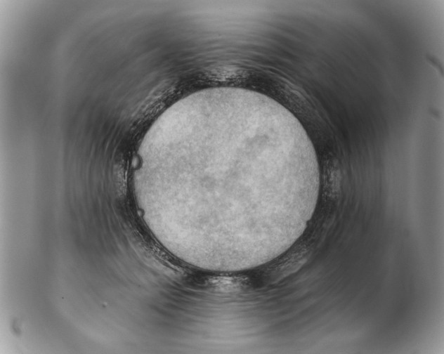 X0000102390558200808221827