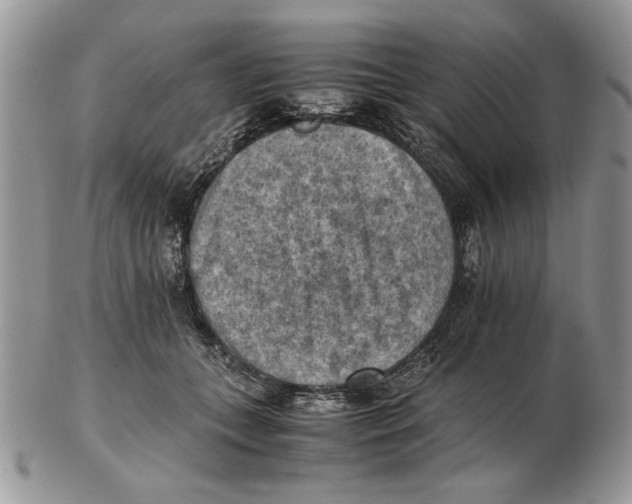 X0000102390559200808221827