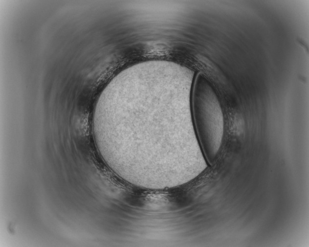 X0000102390560200808221827