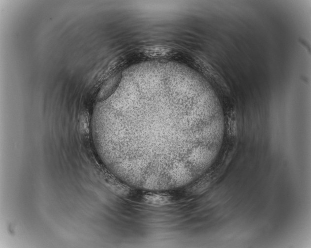 X0000102390561200808221827