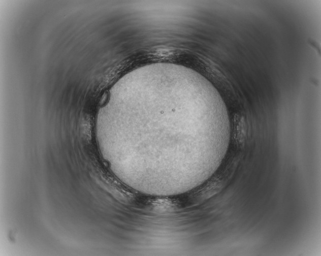 X0000102390562200808221827