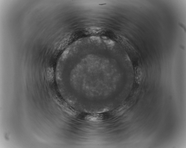 X0000102390563200808221827