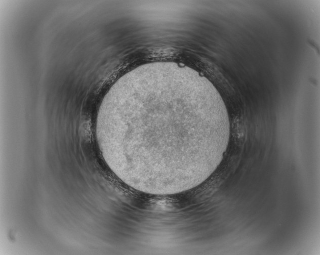 X0000102390564200808221827