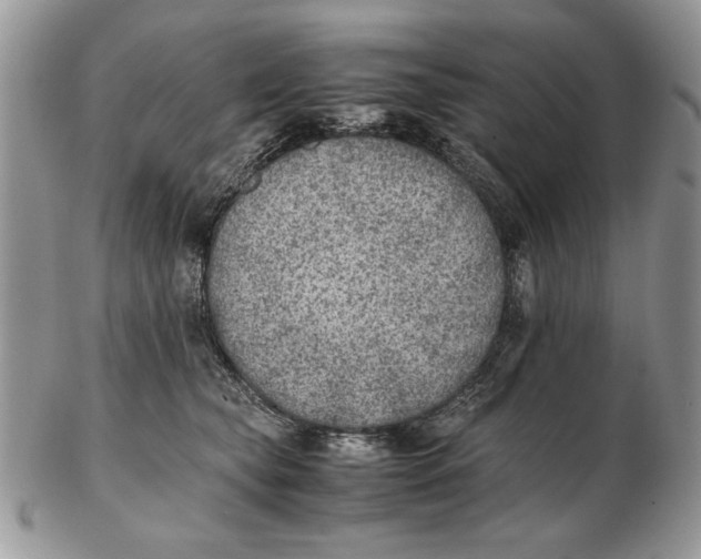 X0000102390565200808221827