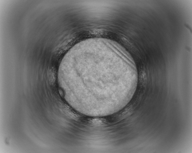 X0000102390566200808221827