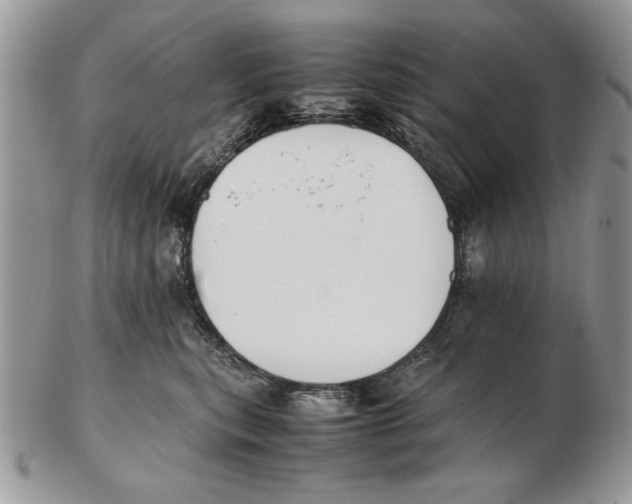 X0000102390567200808221827