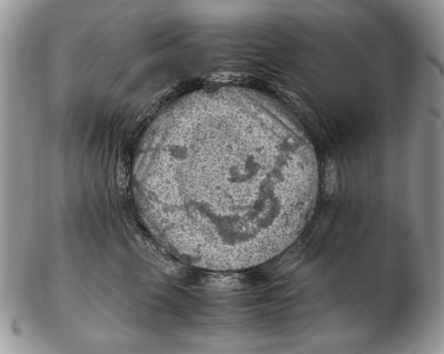 X0000102390569200808221827