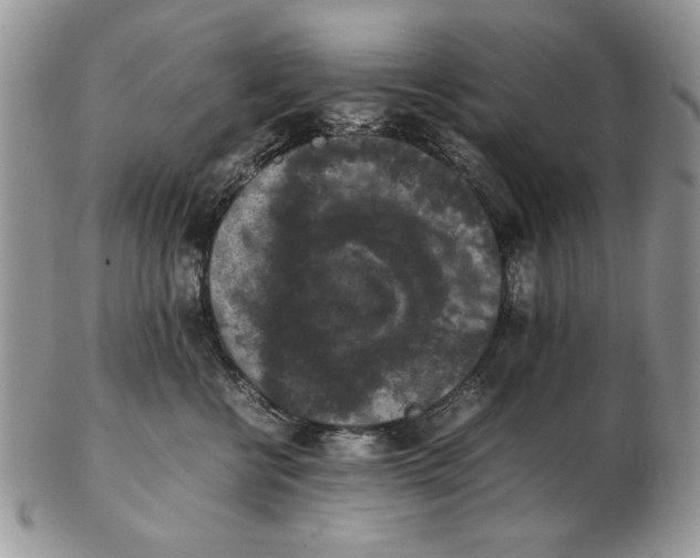 X0000102390570200808221827