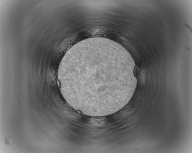 X0000102390571200808221827