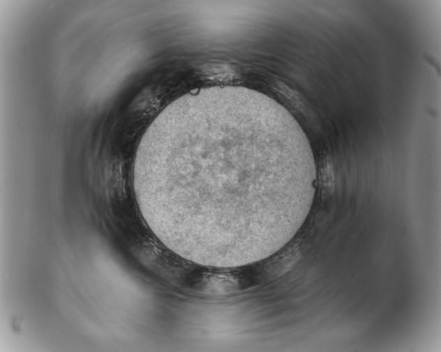 X0000102390572200808221827