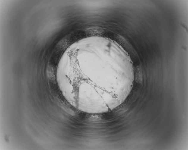 X0000102390573200808221827