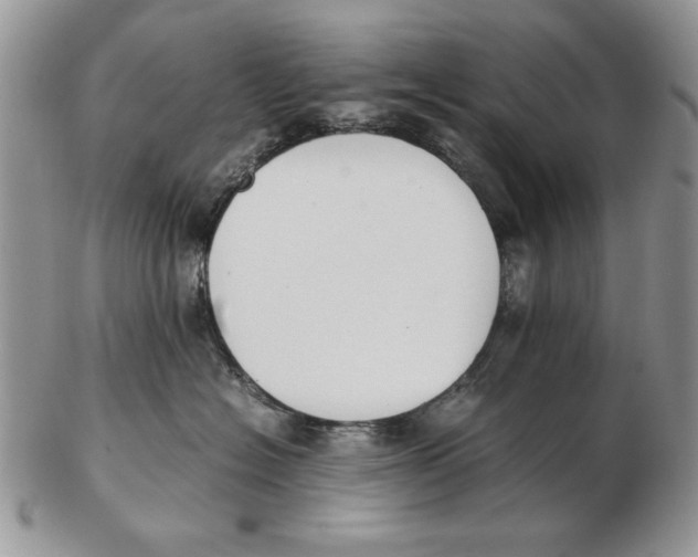 X0000102390574200808221827