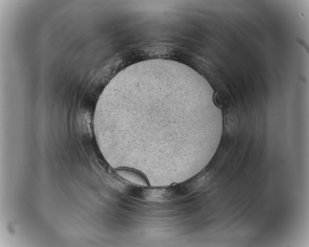 X0000102390575200808221827