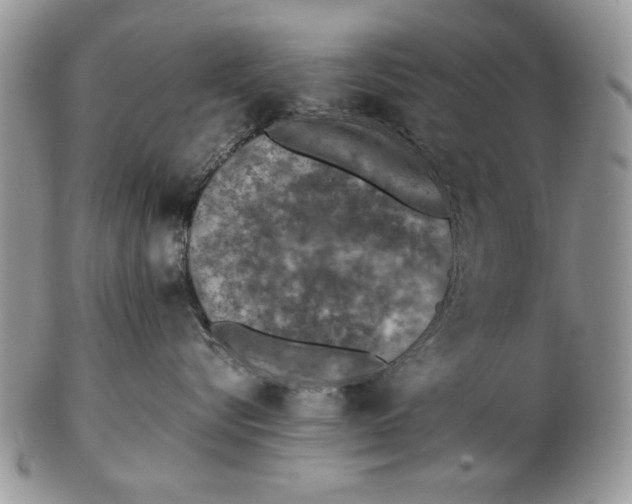 X0000102390576200808221827