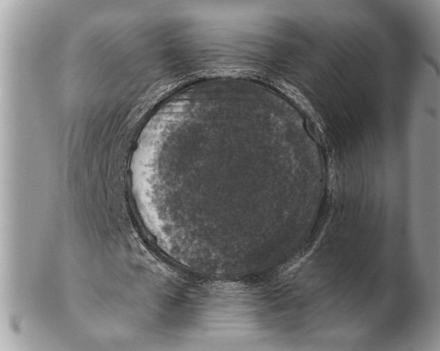 X0000102390577200808221827