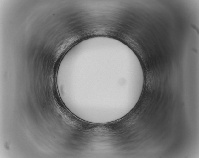 X0000102390578200808221827