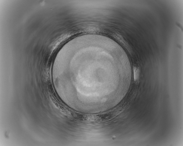 X0000102390579200808221827