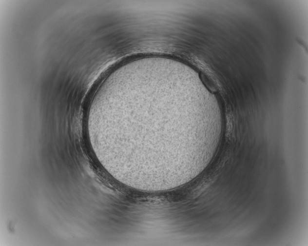 X0000102390580200808221827