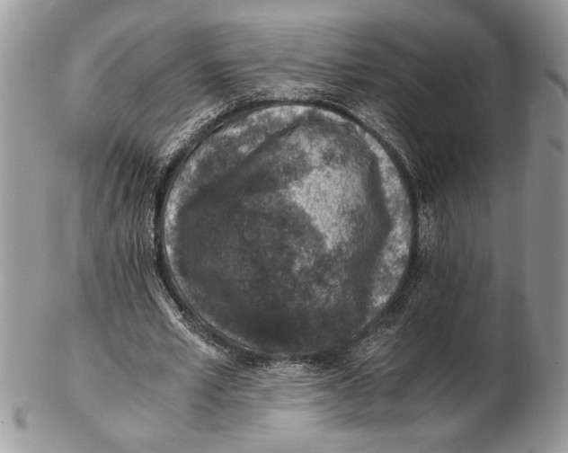 X0000102390581200808221827