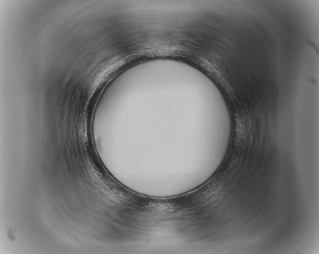 X0000102390582200808221827