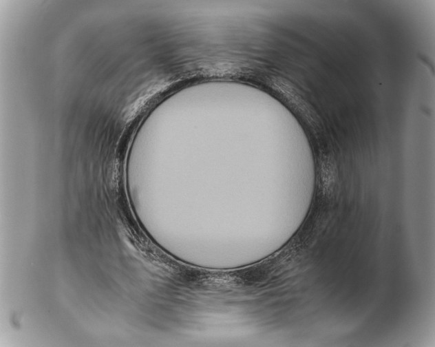 X0000102390583200808221827