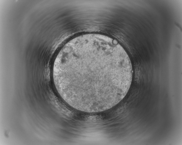 X0000102390584200808221827