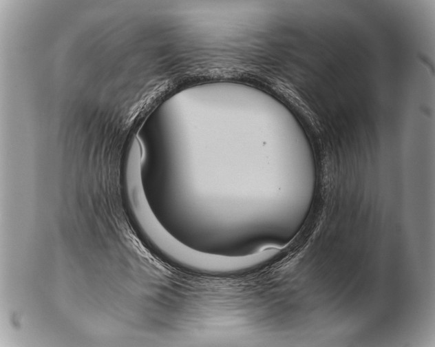 X0000102390585200808221827