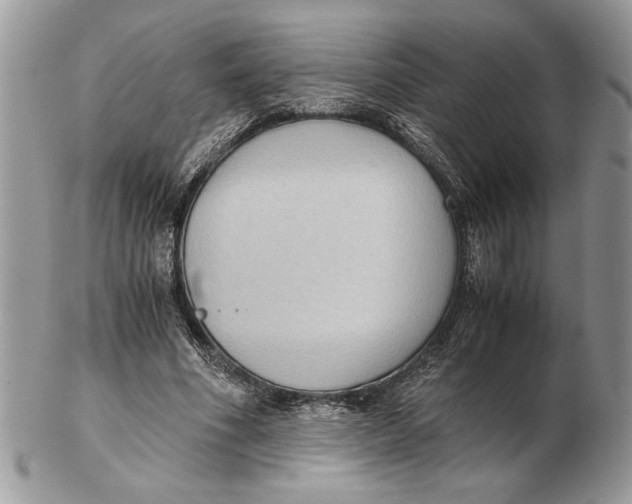 X0000102390586200808221827