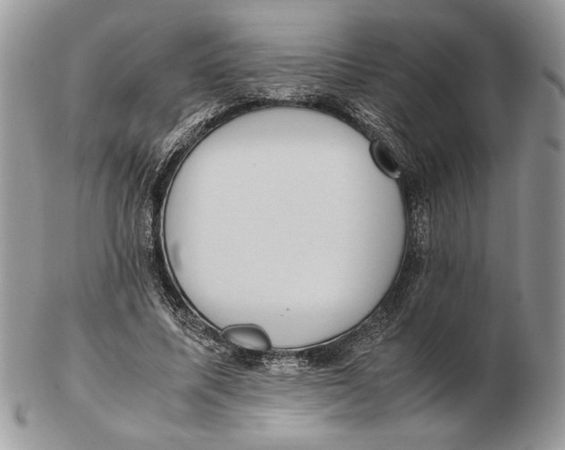 X0000102390587200808221827