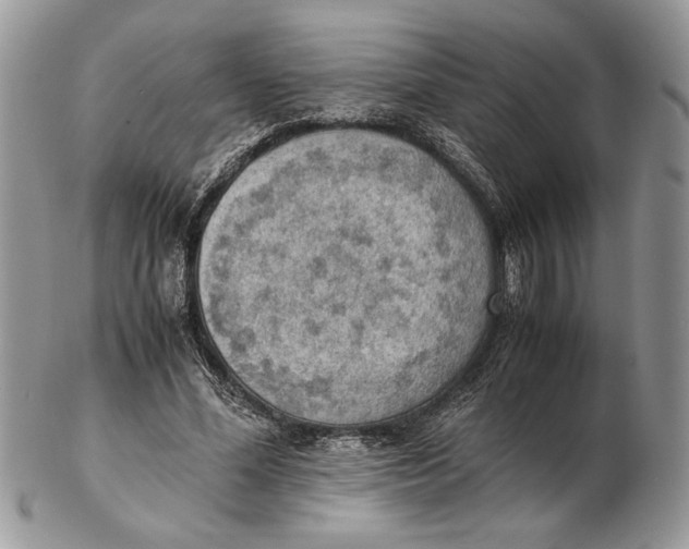 X0000102390588200808221827