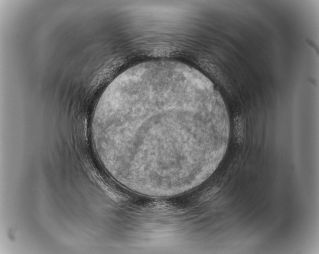 X0000102390589200808221827