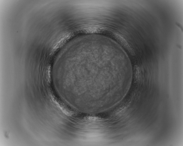 X0000102390590200808221827